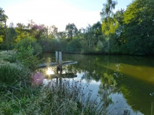 L'accès à l'eau n'est heureusement pas un problème dans cette région verte.